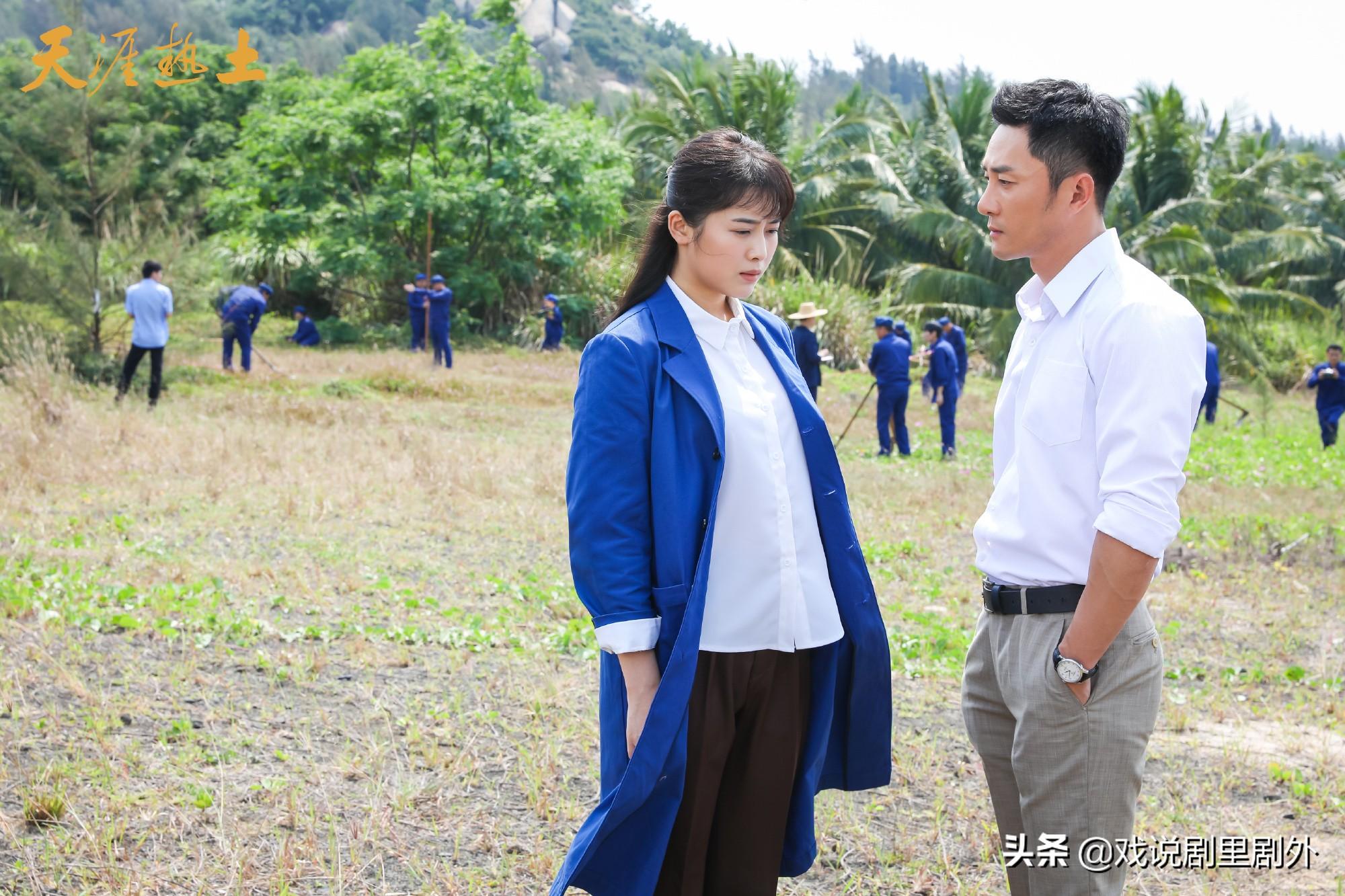 章賀主演電視劇觀看指南，技能進階與劇情解析