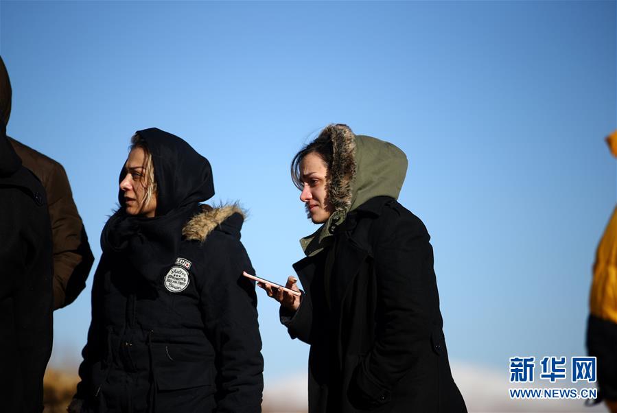 “伊朗最新動態(tài)今日”,伊朗最新動態(tài)今日，一段溫馨有趣的日常故事