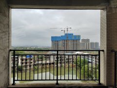 道縣最新房價,道縣最新房價動態(tài)，市場走勢與購房指南