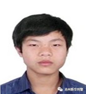 滄州通緝公告更新，輕松探索滄州自然美景之旅