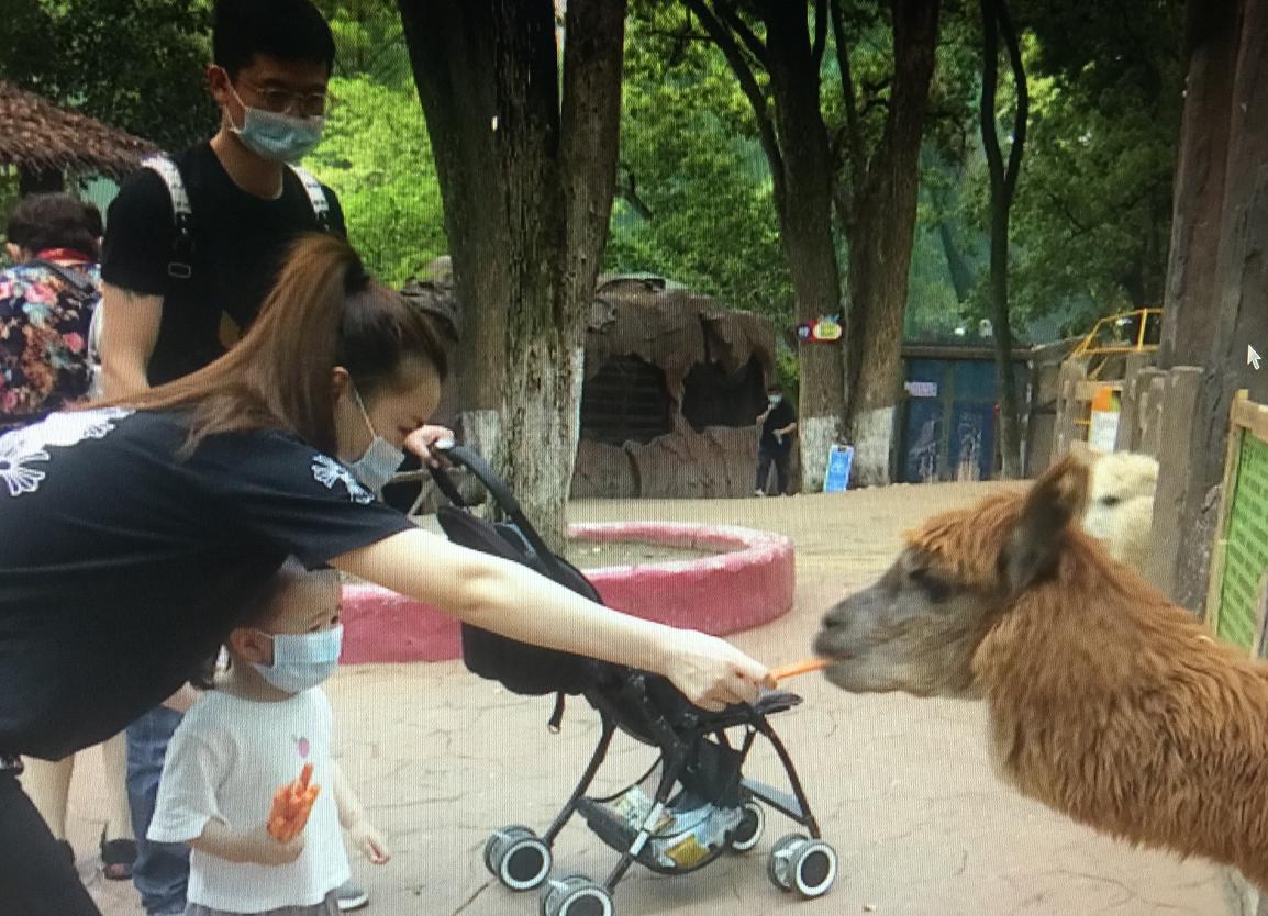東湖電影院,東湖電影院，光影的魅力與觀影的盛宴
