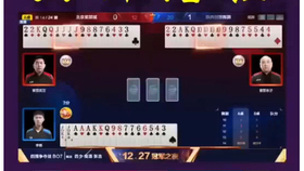 斗地主職業(yè)比賽,斗地主職業(yè)比賽，一場智力與運氣的較量