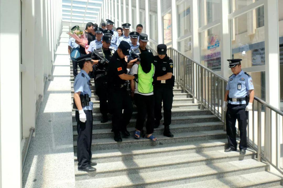 清水縣最新命案，悲劇的陰影與反思