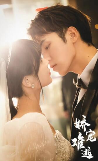 嬌妻難逃，秦雅瀅新篇章開(kāi)啟