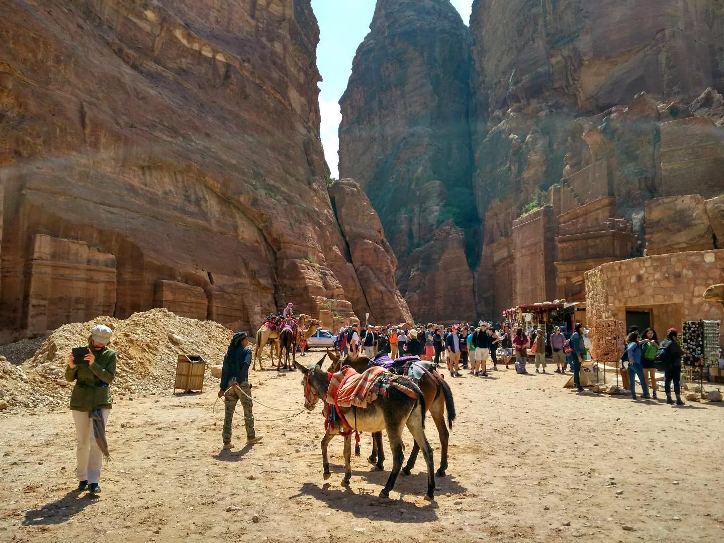大盜電影的溫馨日常揭秘