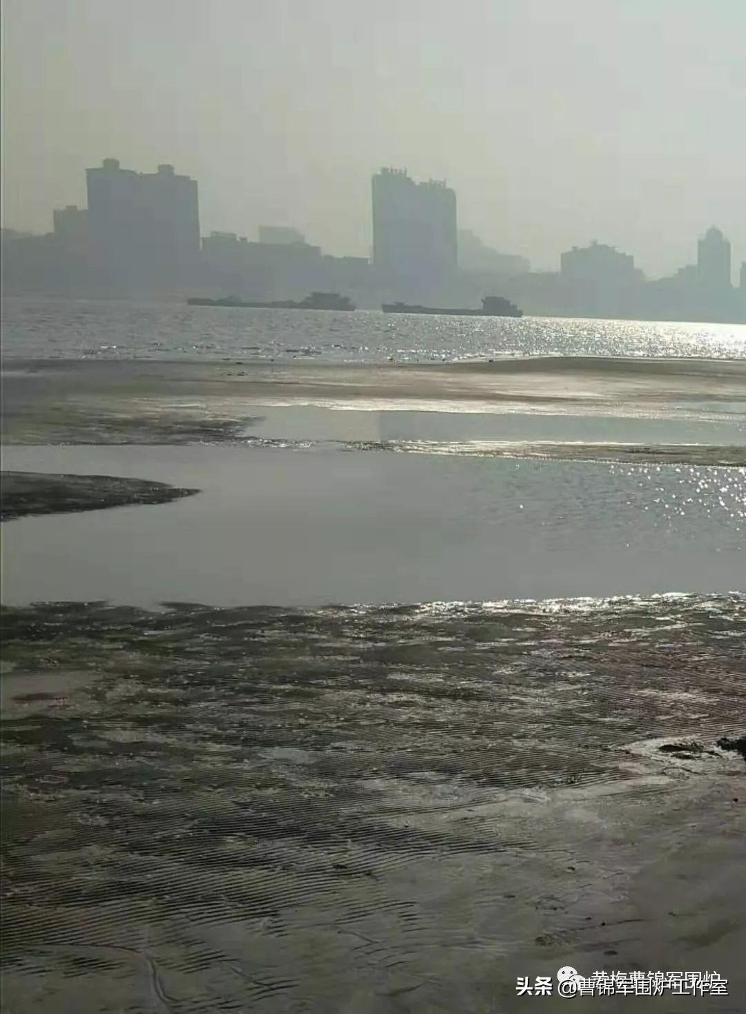 黃梅小池，時代脈搏下的最新資訊與新篇章