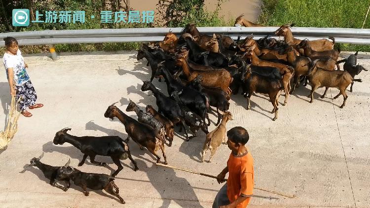 重慶江津賈嗣最新發(fā)展計劃詳解，步驟指南與行動綱領(lǐng)全解析！