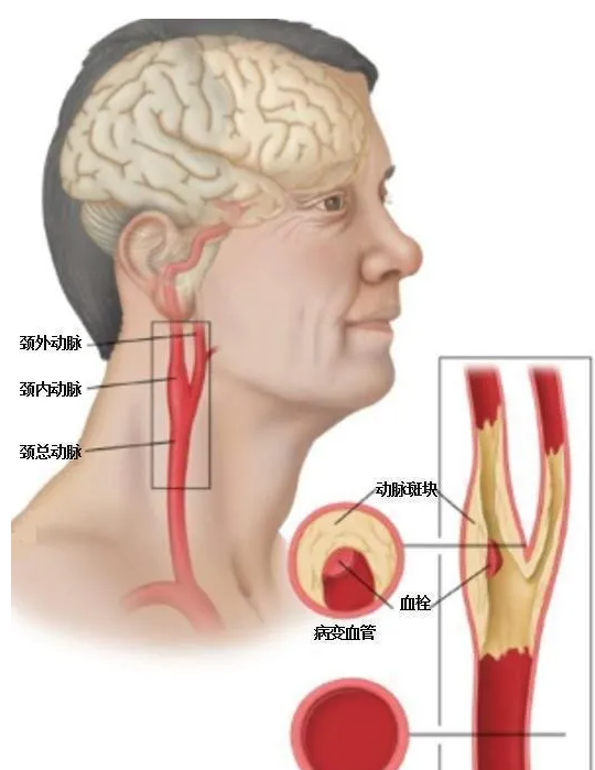 辦公用品 第200頁(yè)