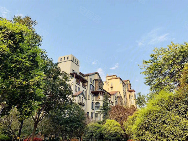 鎮(zhèn)平財富家族最新動態(tài)揭秘，發(fā)展新篇章開啟！