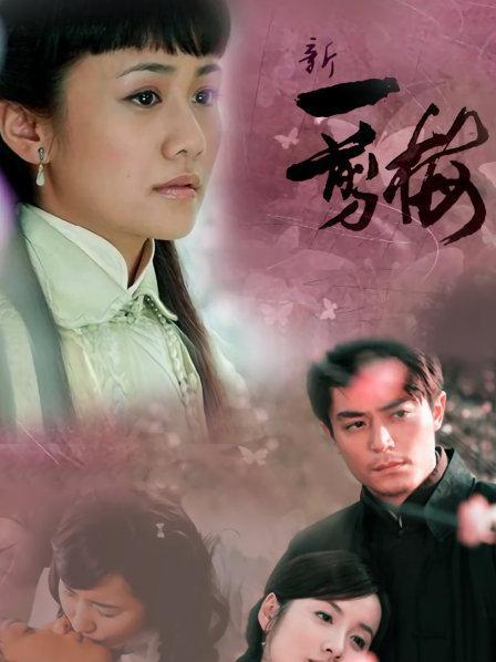 一剪梅電視劇演員表全揭秘，小紅書上的精彩解讀！