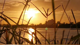 情深緣劫最新章節(jié)，日常溫馨趣事回顧