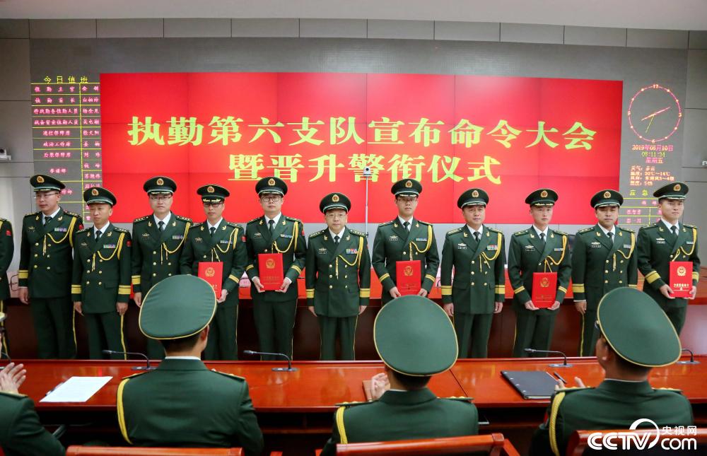 最新軍隊(duì)改革動(dòng)態(tài)揭秘，綠色軍魂與小巷深處的特色小店探訪