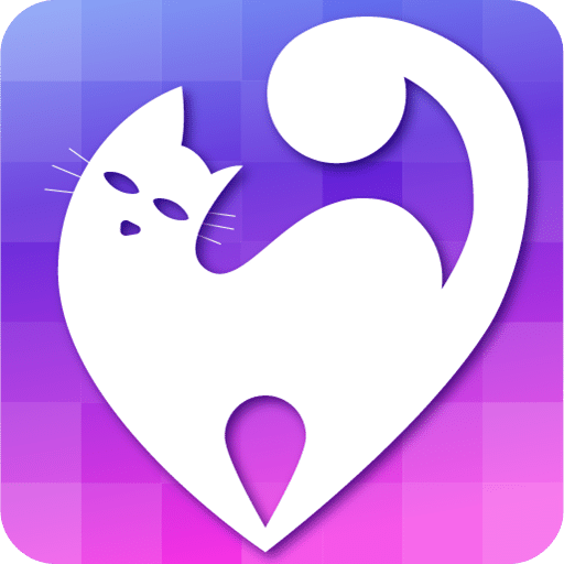 快貓最新地址探秘，小巷深處的獨特風味揭秘