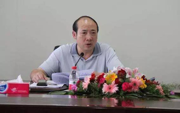 廣西林業(yè)蔣勇動(dòng)態(tài)揭秘，小巷中的綠色寶藏探索之旅