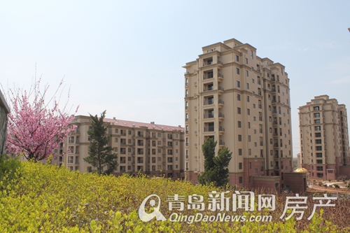 即墨鑫合嘉苑最新動(dòng)態(tài)揭秘，巷弄中的隱藏瑰寶探秘