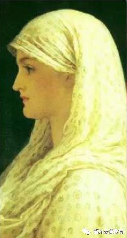 演員鼬,演員鼬，閃耀于舞臺(tái)之上的璀璨之星