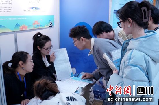 洪雅最新招聘資訊大全，獲取指南與職位推薦