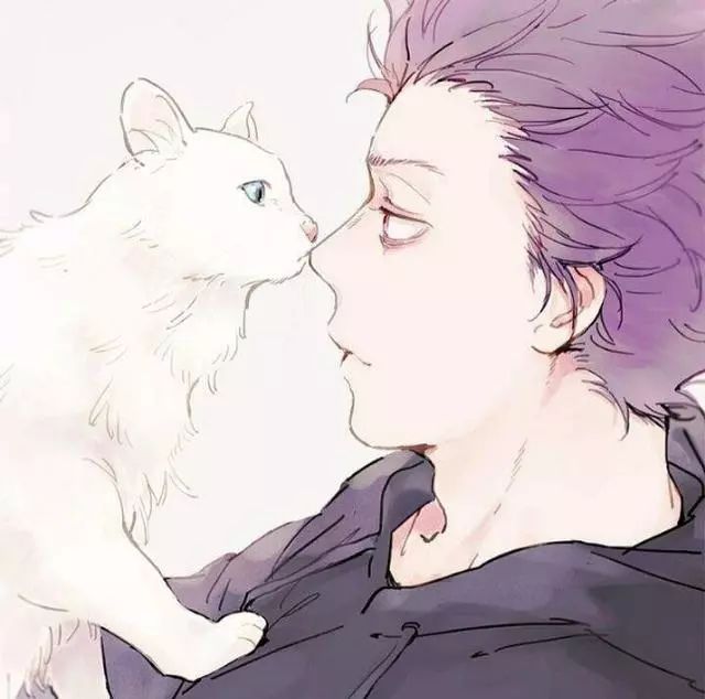 動漫貓頭像男,動漫貓頭像男，一種文化現(xiàn)象的深度解讀