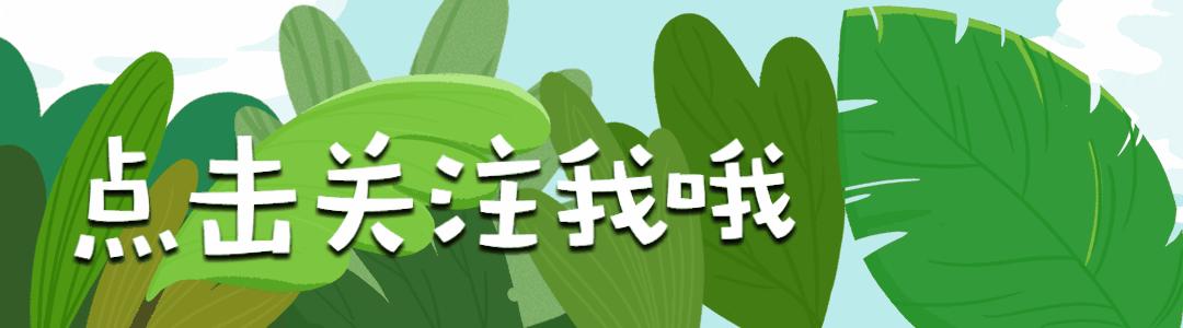 最新疫情動態(tài)下的小巷特色小店探秘，疫情中的驚喜發(fā)現(xiàn)