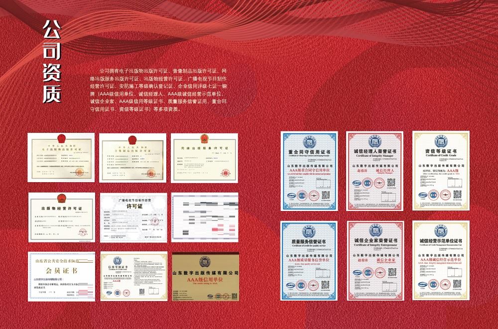 上市公司資質(zhì)揭秘，小巷深處的獨(dú)特風(fēng)景與隱藏寶藏