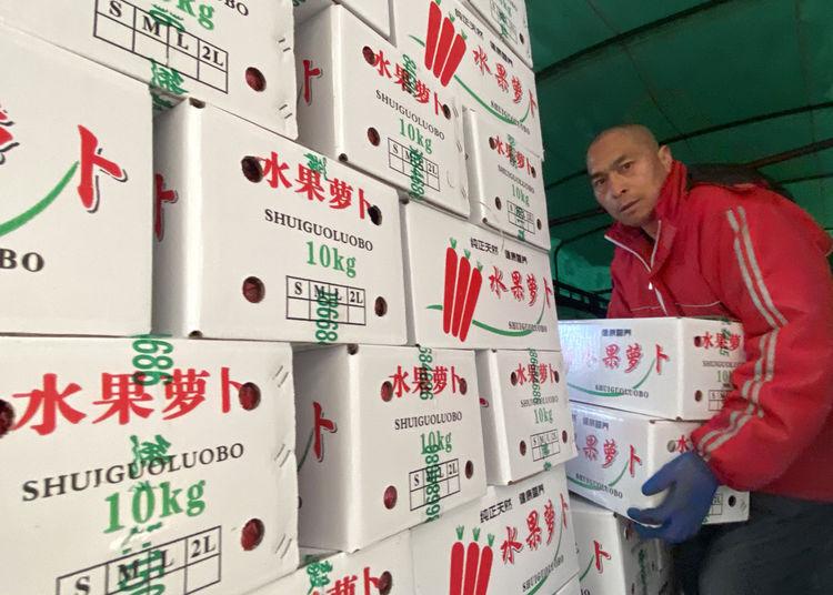 大荔皇家沙苑最新動(dòng)態(tài)，游玩指南與技能提升攻略揭秘