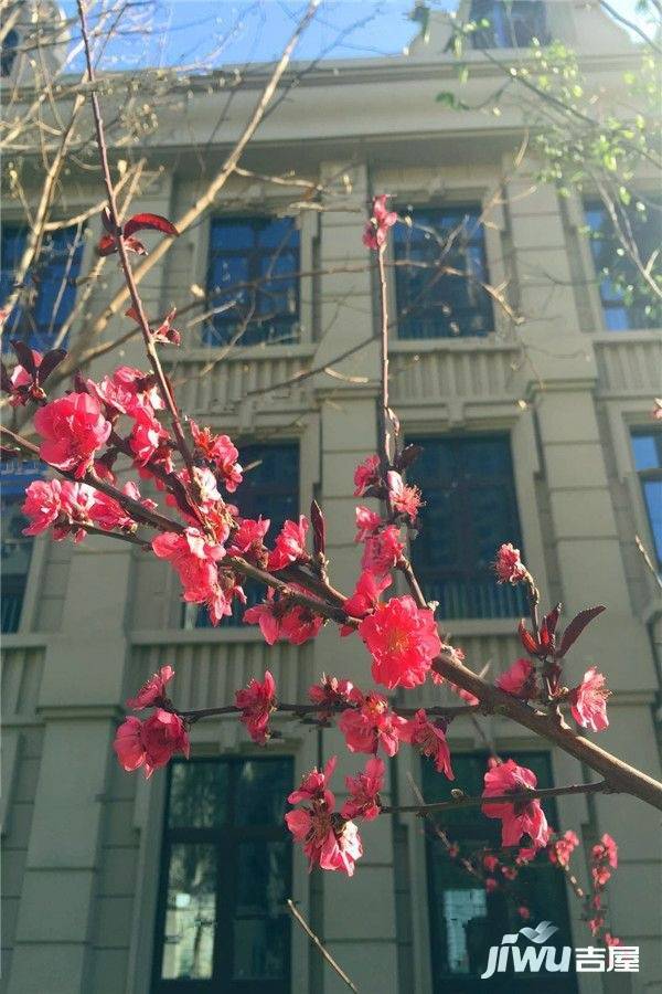 咸陽(yáng)金方圓最新動(dòng)態(tài),咸陽(yáng)金方圓最新動(dòng)態(tài)，科技重塑生活，金方圓引領(lǐng)未來(lái)