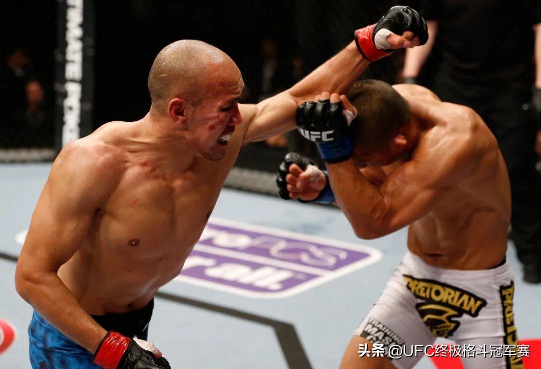 康李比賽視頻全集,康李比賽視頻全集，一場視覺盛宴的回顧與期待