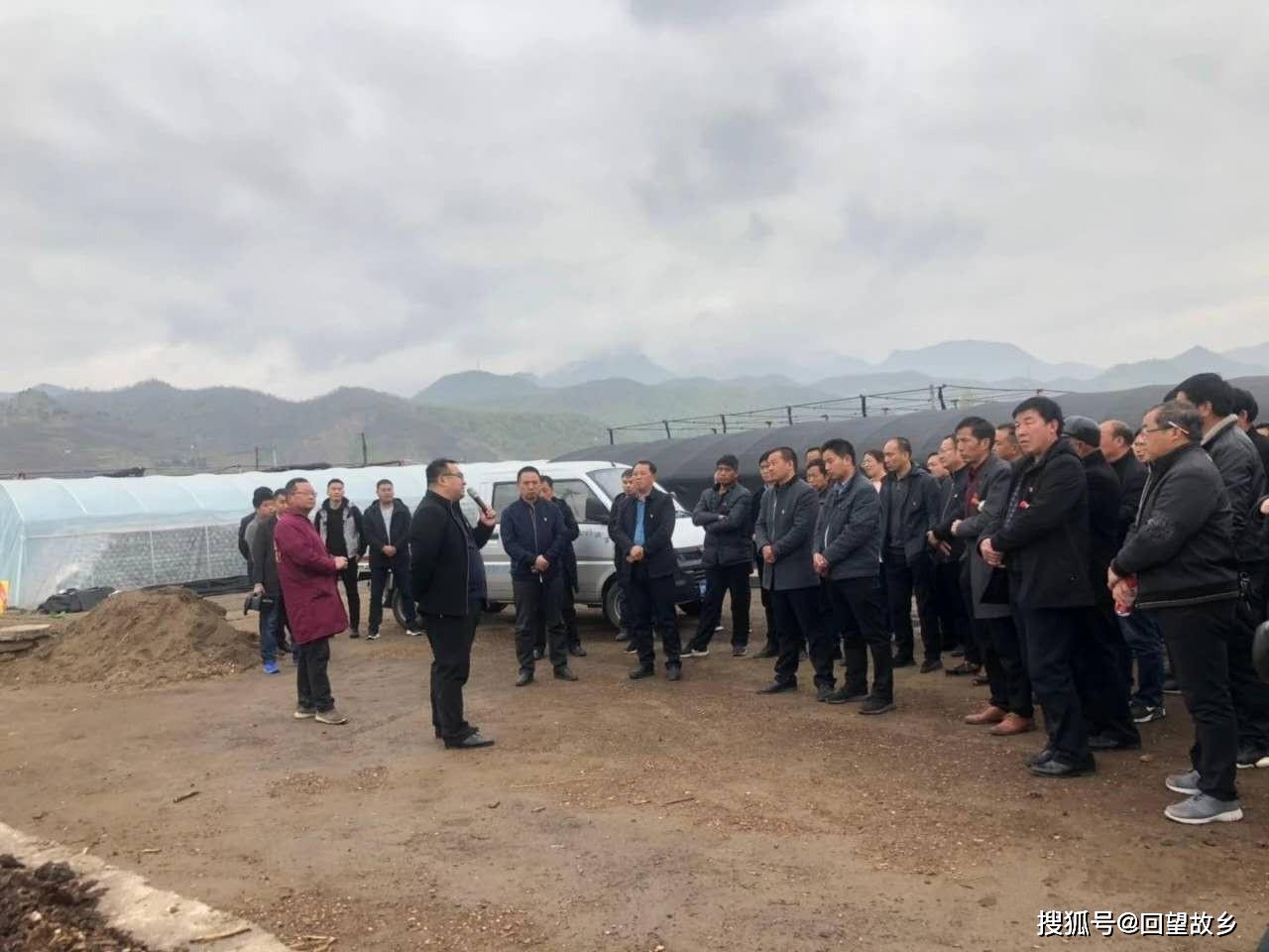 魯班鎮(zhèn)最新規(guī)劃深度解讀