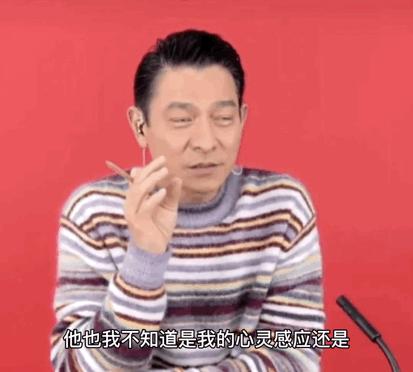 最新手機影片在線觀看教程,最新手機影片在線觀看教程，一場溫馨有趣的觀影之旅