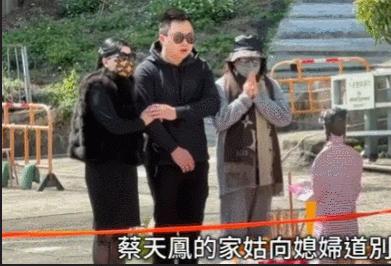 蔡天鳳最新動態(tài)更新