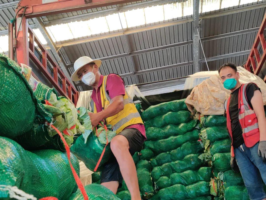 西芹行情之旅，自然美景探尋，內(nèi)心平和寧?kù)o的追尋