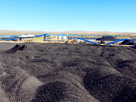 蘭炭最新行情深度分析與概述