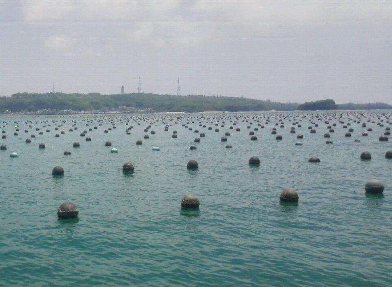 東珠景觀上市預(yù)測，科技引領(lǐng)視界革新，體驗(yàn)未來美學(xué)之巔