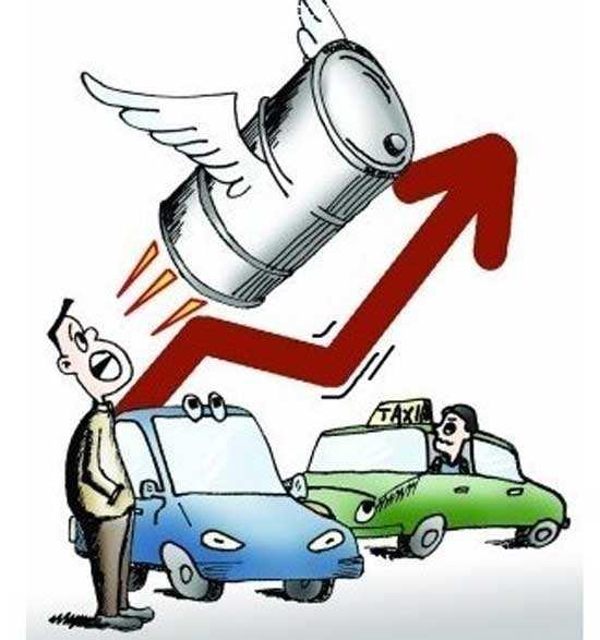 最新油價調整信息及小巷深處的特色小店探秘