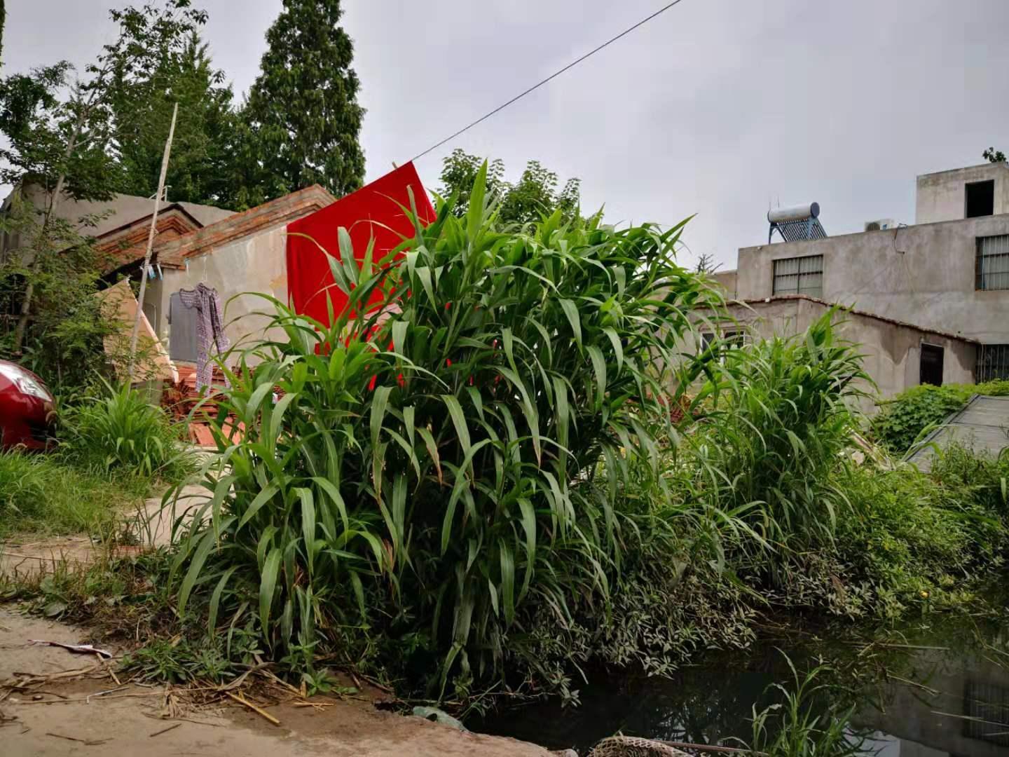 邳州宅基地出售信息詳解，歷史背景與當(dāng)前地位