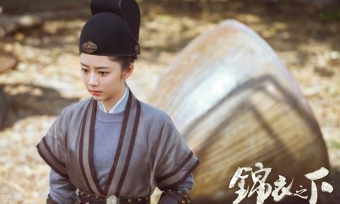 錦衣衛(wèi)演員表全面解析及其在歷史與現(xiàn)代背景下的地位