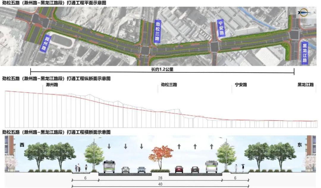 青島規(guī)劃圖最新版，自然美景探索之旅啟動