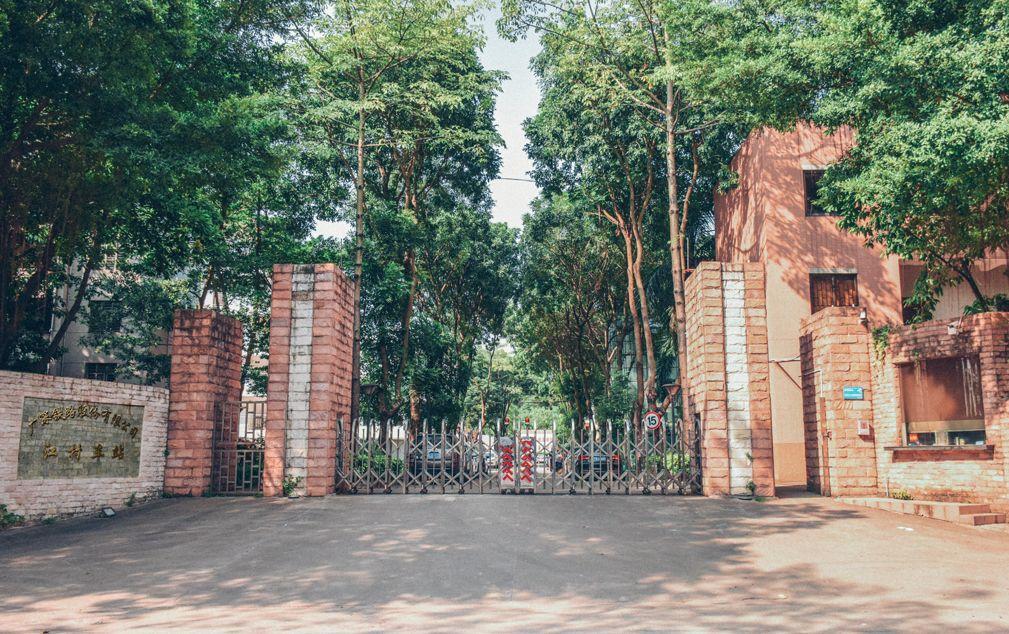 廣州北站擴建最新進展報道速遞