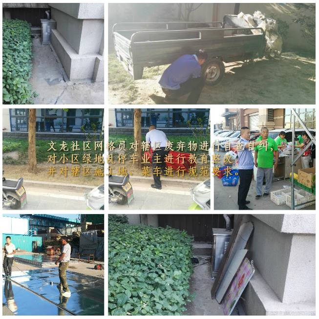 泰州郊野公園最新動態(tài)揭秘，綠意盎然，花開滿園