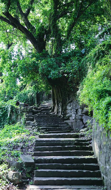 美好的時光完整演員表