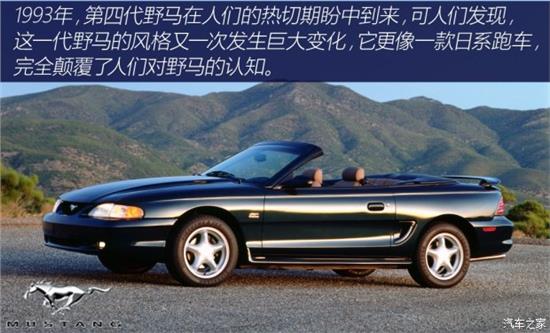 野馬演員表深度解析，角色與演員匹配度探究