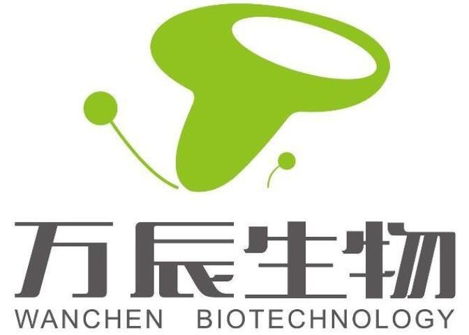 貝斯特上市日期揭秘，未來走向及市場預(yù)期分析