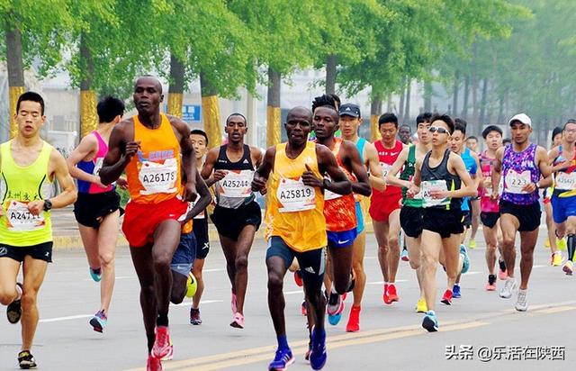 精彩的跑步比賽全程步驟指南與精彩瞬間回顧