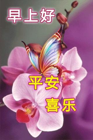 辦公用品 第114頁