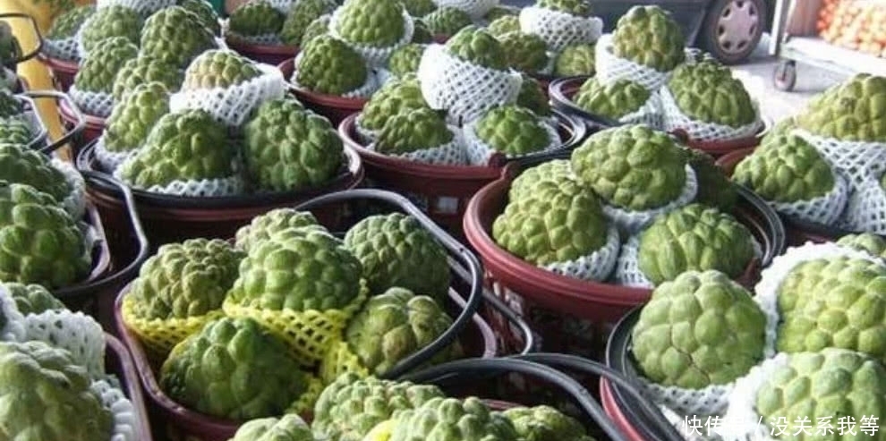 釋迦果價(jià)格，歷史背景與現(xiàn)代市場(chǎng)地位分析