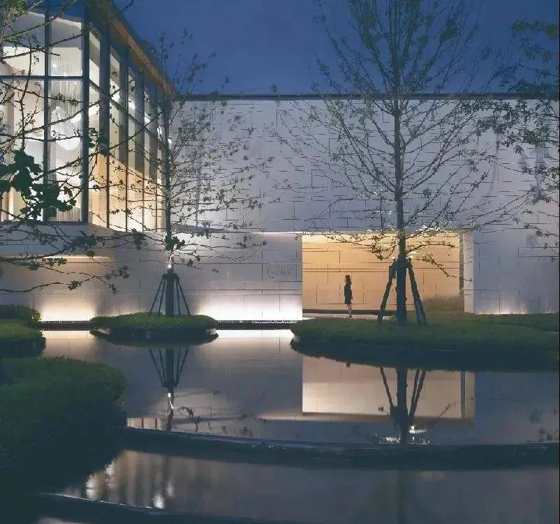 陳才強最新動態(tài)及觀點論述摘要