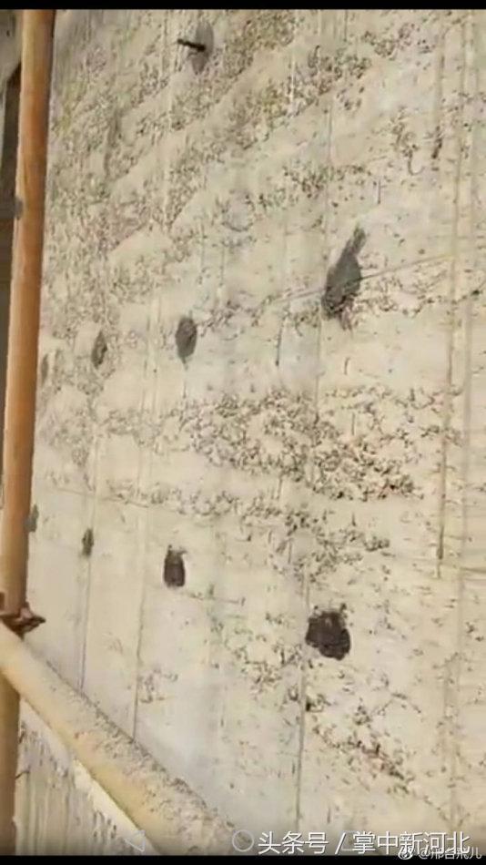 南和北京公館最新動態(tài)揭秘