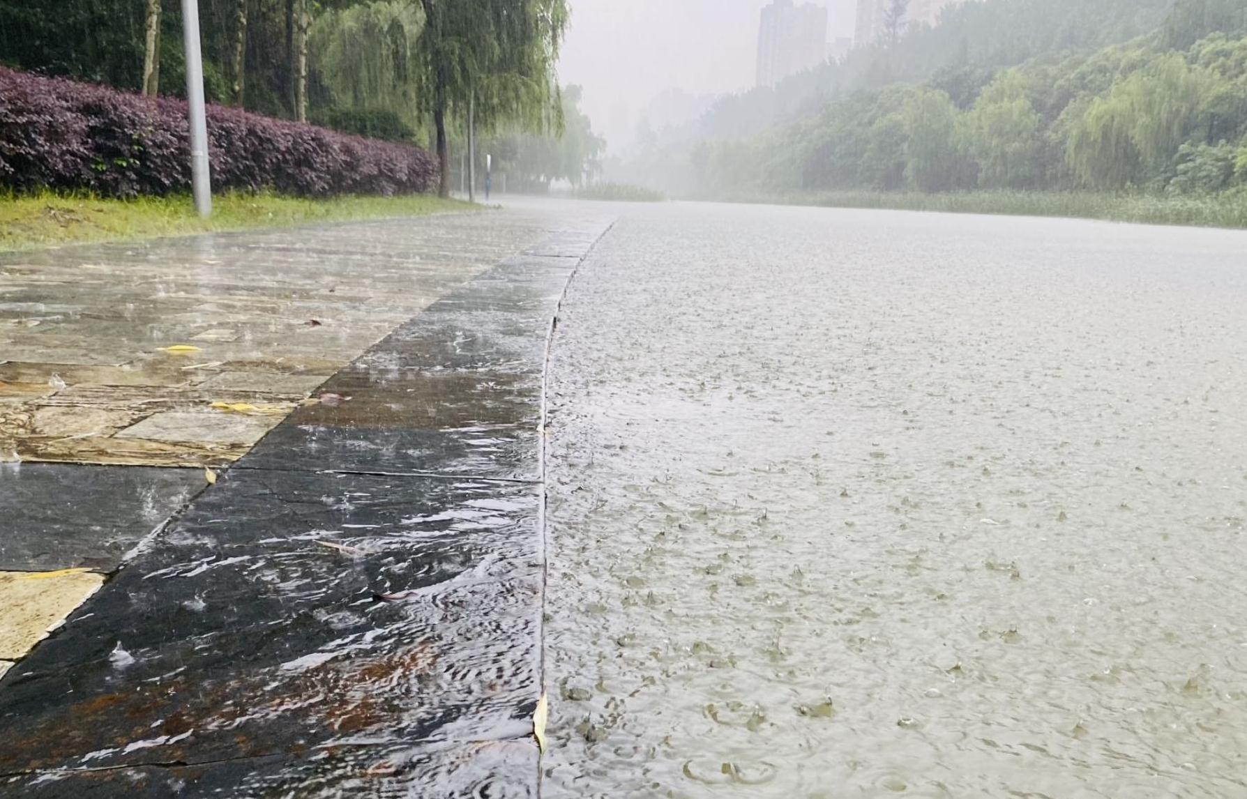 山東天氣預(yù)報直播更新，小巷深處的秘密寶藏揭秘