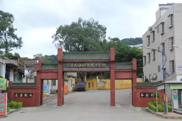 韶關馬壩最新招聘信息及溫暖招聘故事概述