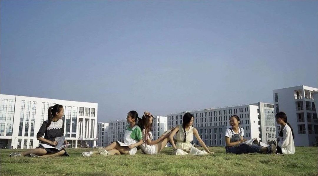 渦陽最新動態(tài)，日常故事與溫馨傳遞